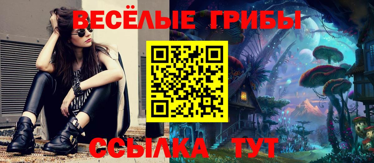 Галлюциногенные грибы Magic Shrooms  Галлюциногенные грибы ЛСД  Красноярск  Вход с VPN 